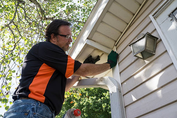 Best Insulated Siding Installation  in Sa De Oro Mount Helix, CA